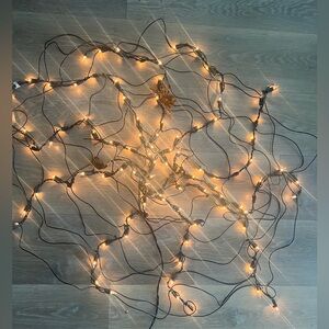 Spider web lights🎃🕸️🕷️